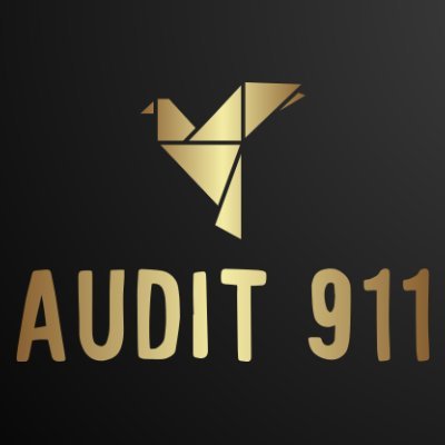Audit911代币合约审计